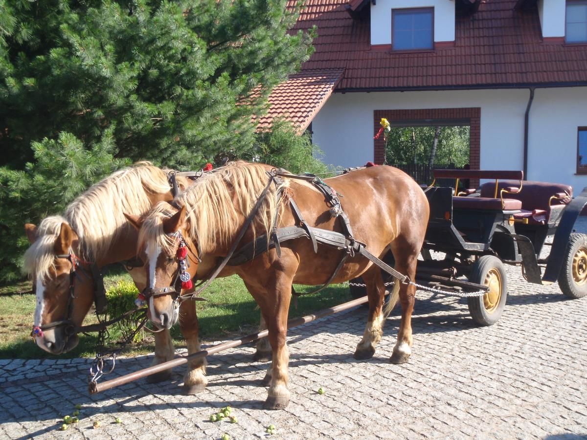 Проживание в семье Słoneczne Siedlisko Вонгликовице-26